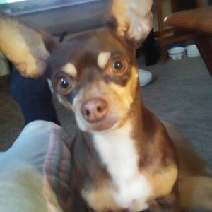 Meet your Posher, Nancy